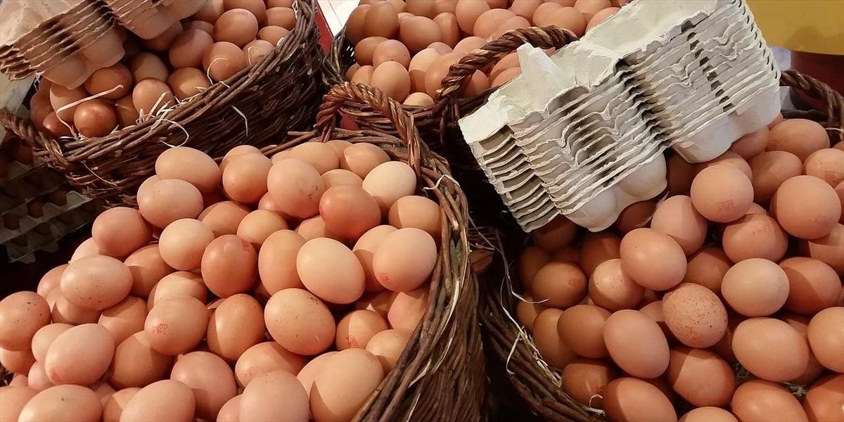Poľské vajcia, podozrivé na nákazu salmonelou, predávali aj na Slovensku