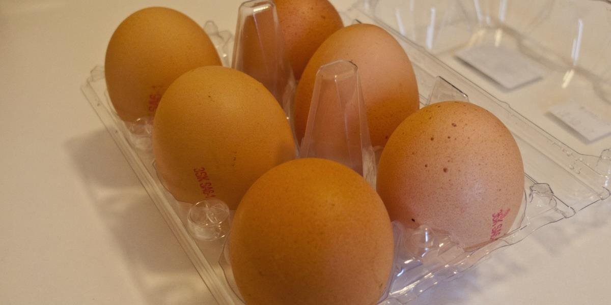 Vajcia od slovenských výrobcov problémy so salmonelou nemali a ani nemajú