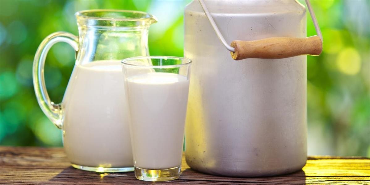 Nákupné ceny mlieka sa na Slovensku zotavujú