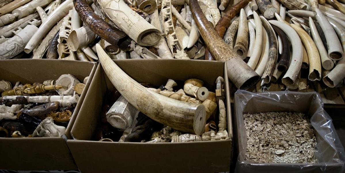 Vietnam zhabal ďalšiu zásielku slonoviny z Afriky
