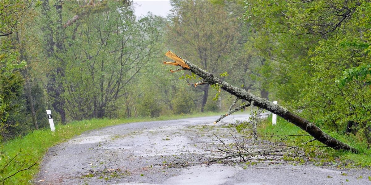 Dážď a vietor spôsobili v okrese Zvolen padanie skál na cestu a pády stromov
