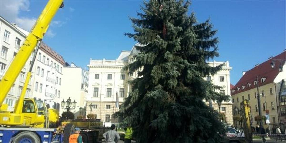 Na Hviezdoslavovom námestí už stojí 16 metrový vianočný stromček
