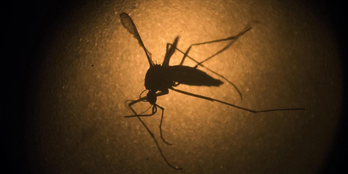 Veľký pokrok v medicíne: Americkí vedci objavili protilátku proti zákernému vírusu zika