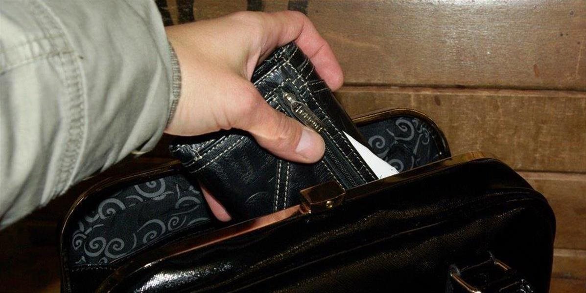 Ulakomila sa na zabudnutú peňaženku, obvinili ju