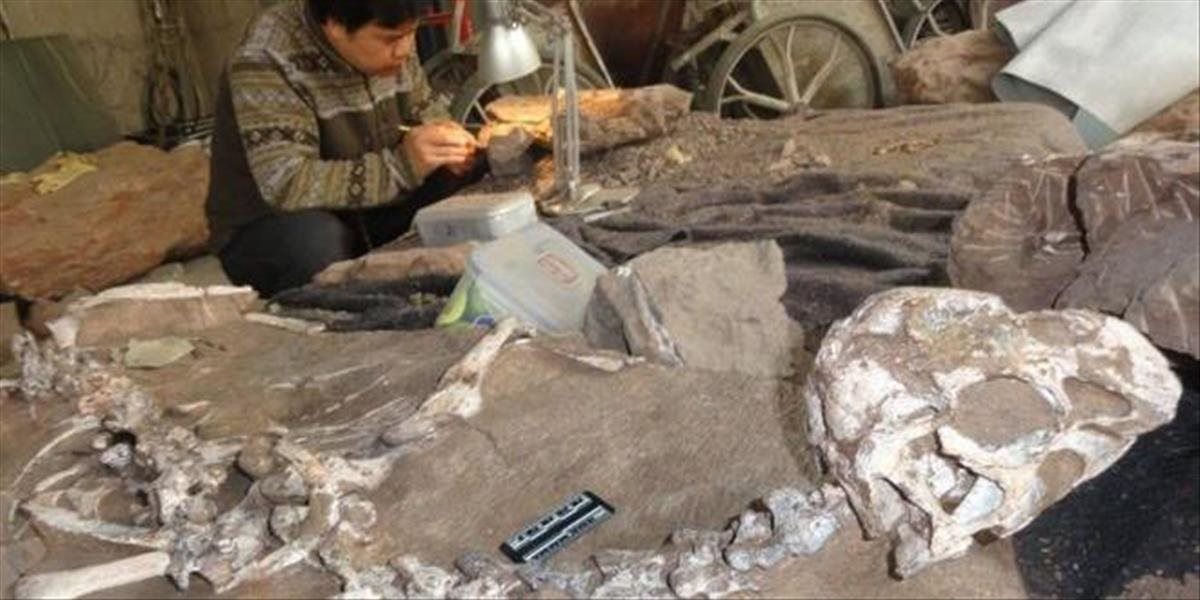 Pri stavbe školy v Číne objavili fosíliu doteraz neznámeho dinosaura