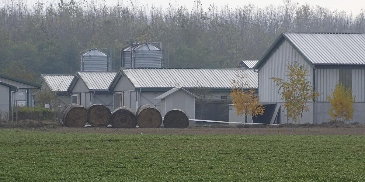 Vtáčiu chrípku v Maďarsku objavili na farmách ďalších troch obcí