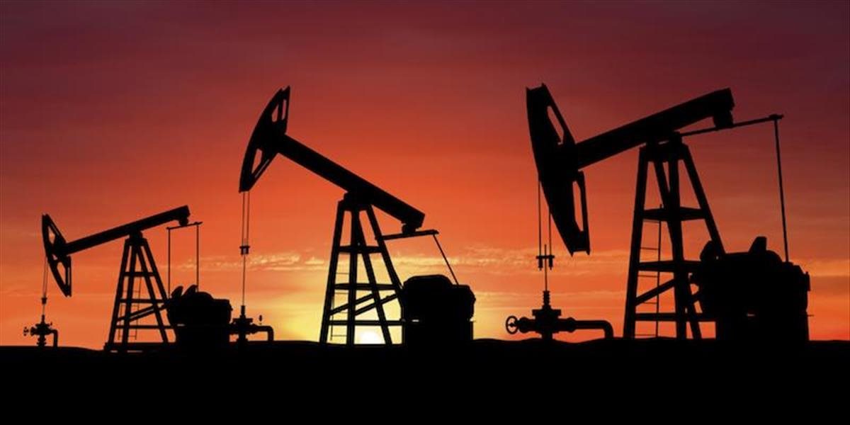 Ceny ropy pokračujú v raste, americká WTI sa obchoduje nad 46 USD za barel