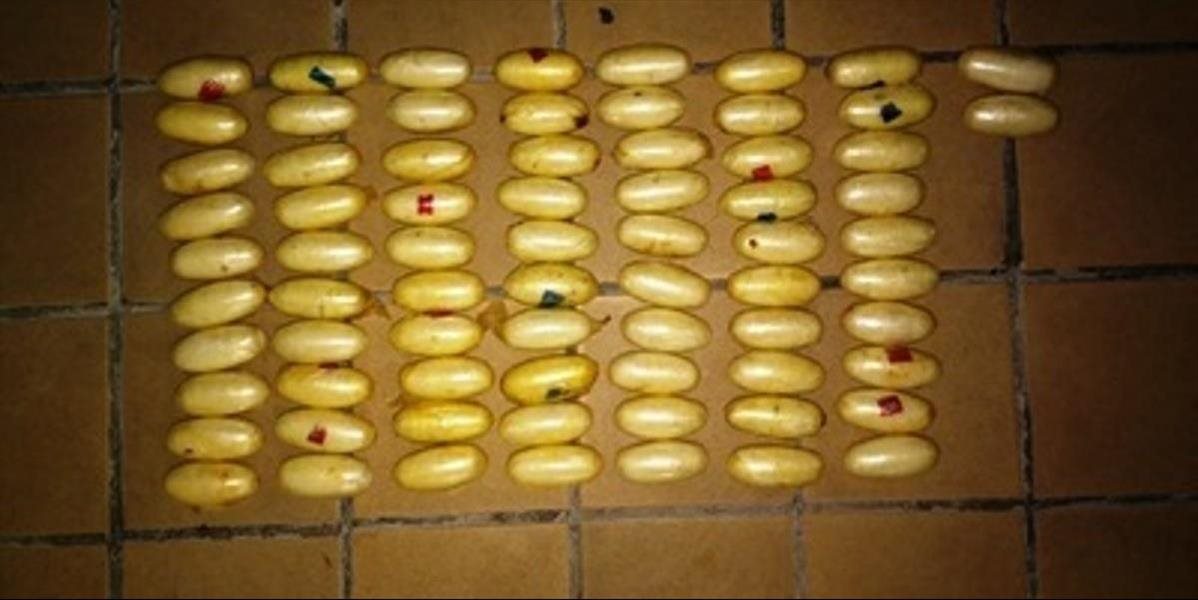 Obrovský úlovok v Nemecku: Colníci objavili v prepravke s banánmi 49 kilogramov kokaínu