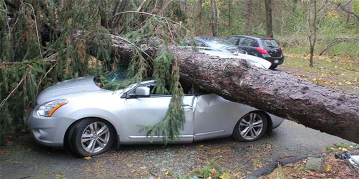Tatranskí záchranári vyslobodili muža sediaceho v aute, na ktoré spadol strom!