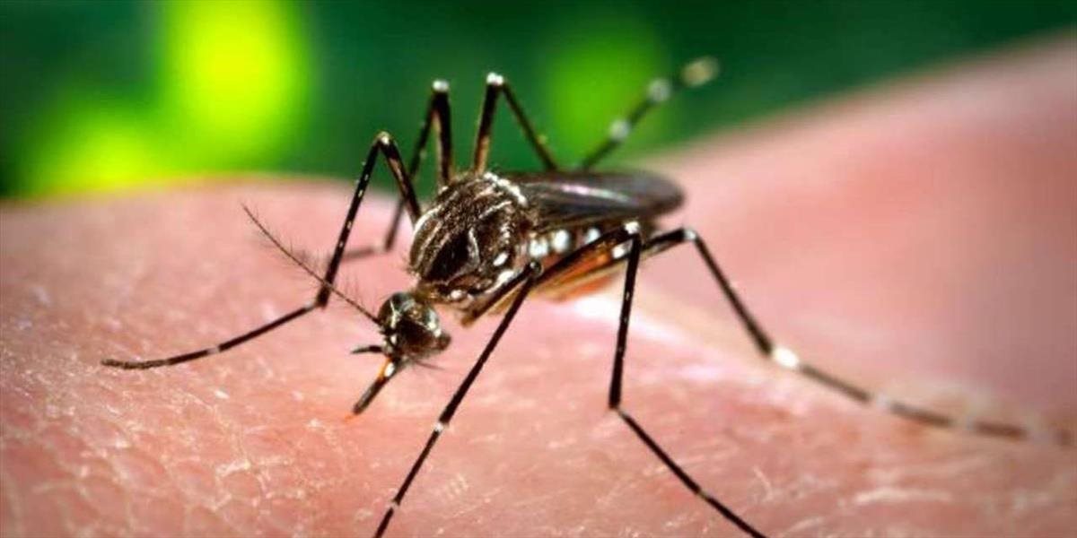 V Brazílii sa šíri nový vírus komármi: Je ešte horší ako zika!
