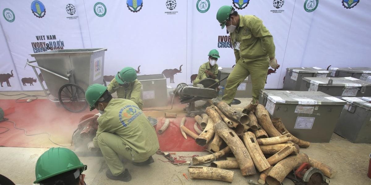 Vo Vietname zhabali 619 kilogramov africkej slonoviny