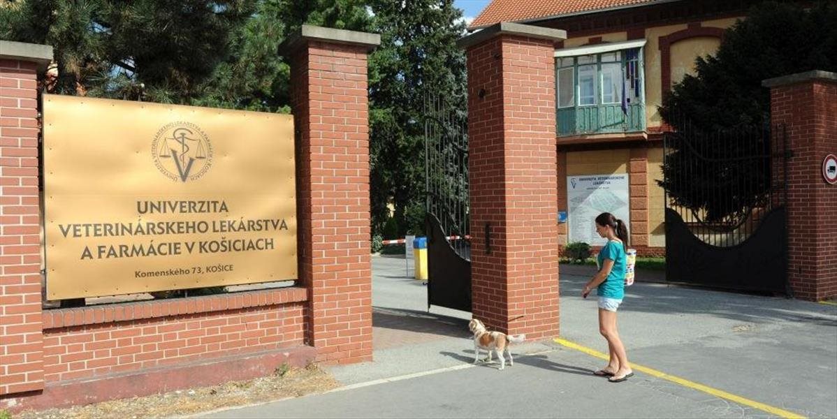 Košická UVLF je medzi 12 najlepšími veterinárskymi univerzitami v Európe
