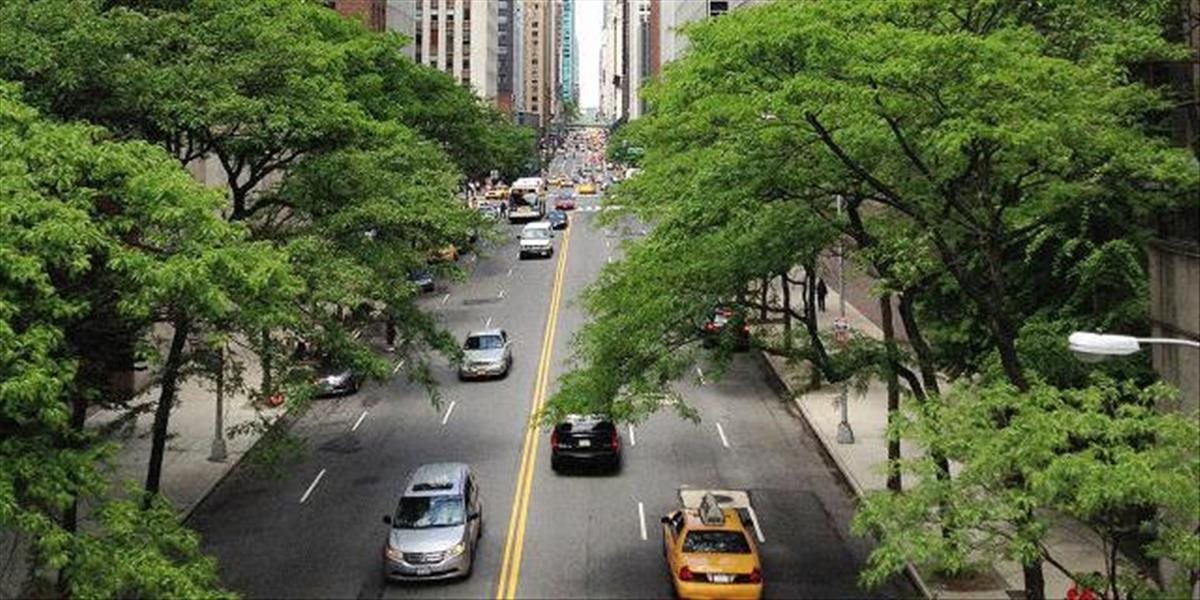Prekvapujúce zistenie: Stromy môžu zhoršovať kvalitu vzduchu v uliciach miest