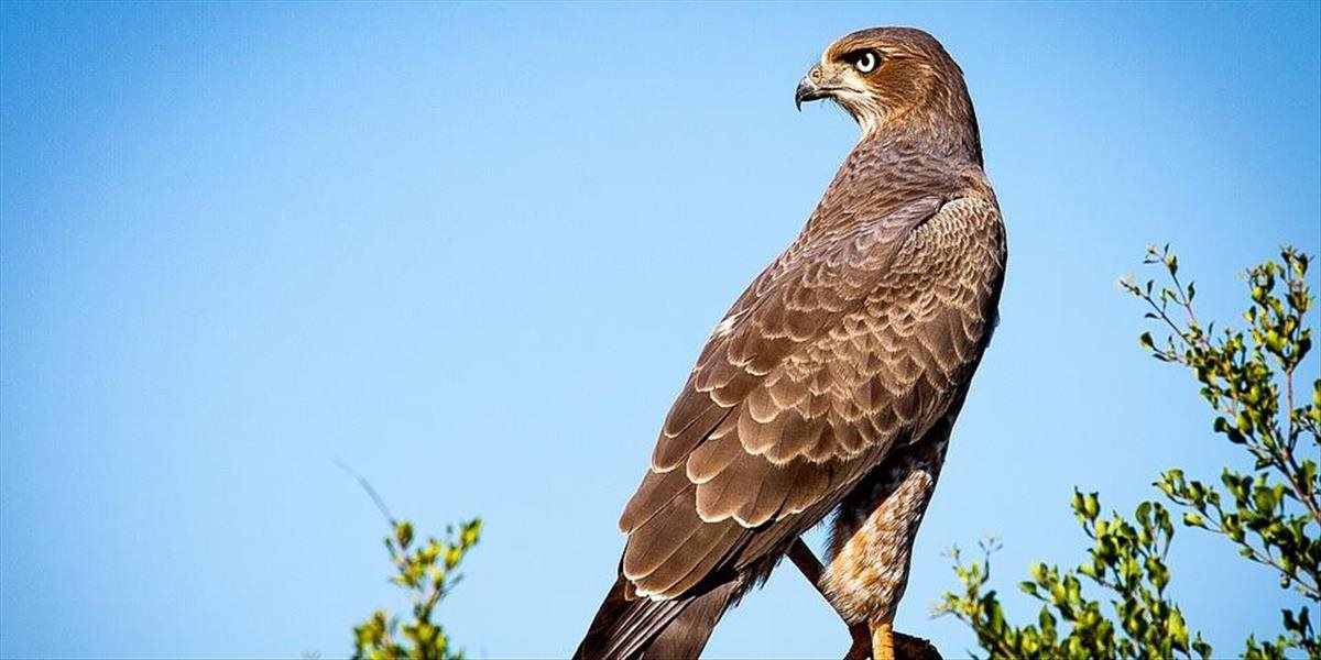 Na Zoznam nehmotného svetového kultúrneho dedičstva UNESCO pribudli nové prvky