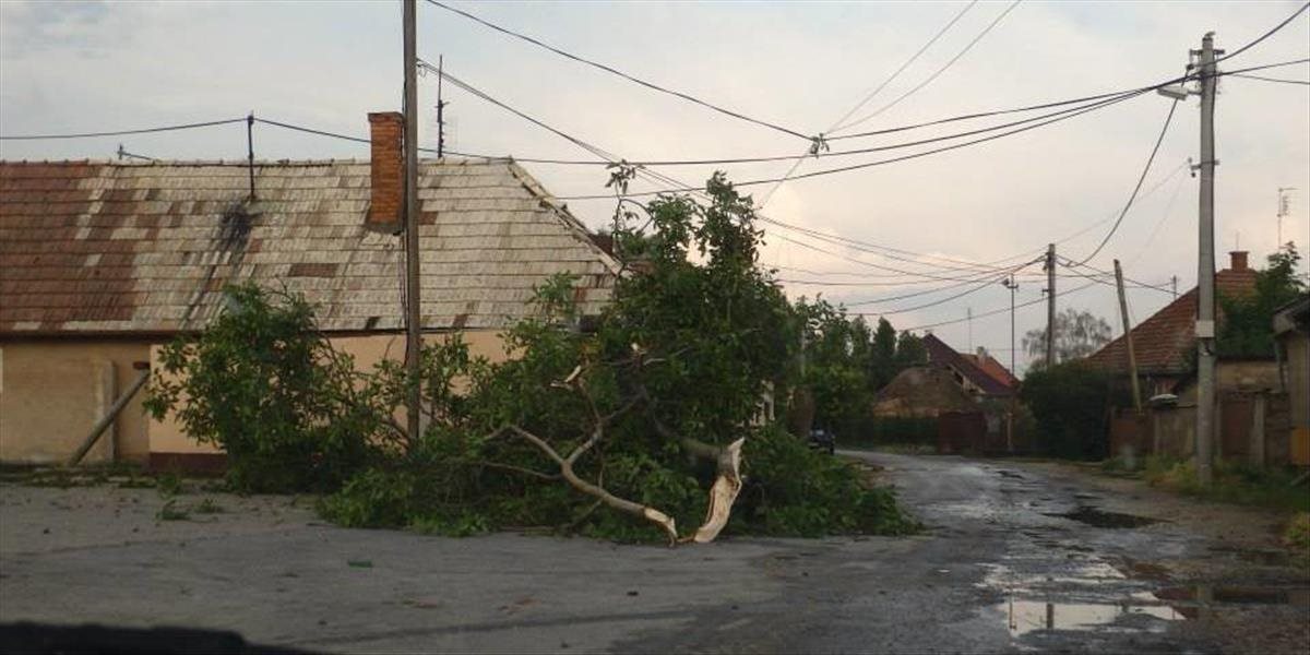 V Čiernej nad Tisou spadol strom na elektrické vedenie, zasahovali hasiči