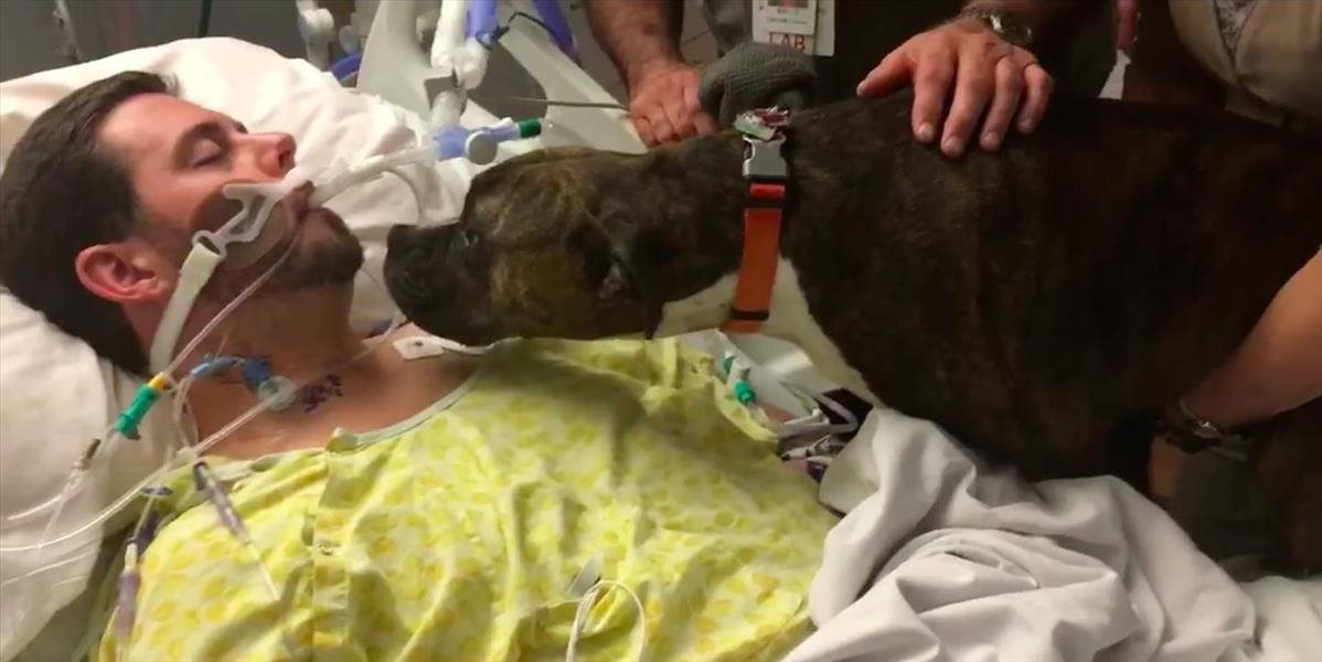 Srdcervúce VIDEO: Pes prišiel dať posledné zbohom svojmu majiteľovi