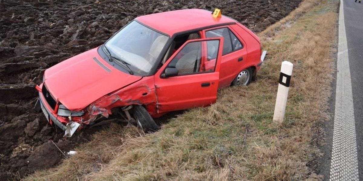 FOTO Tragická zrážka pri Leviciach: Vodič stratil vedomie, nehodu neprežil