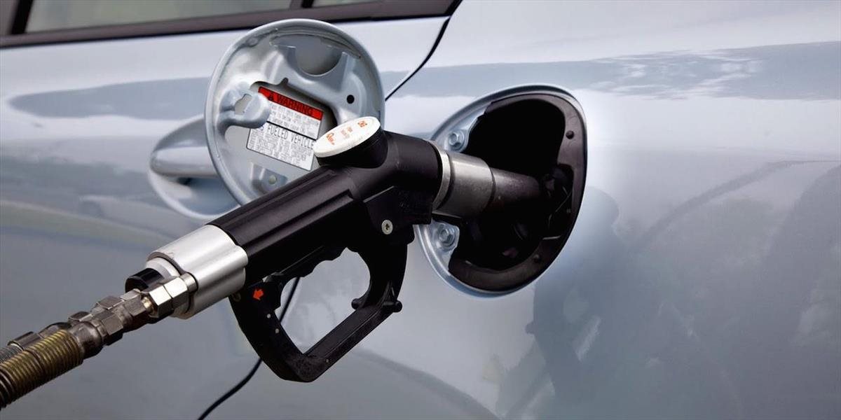 Ceny benzínu 95, LPG a nafty sa v 49. týždni zvýšili