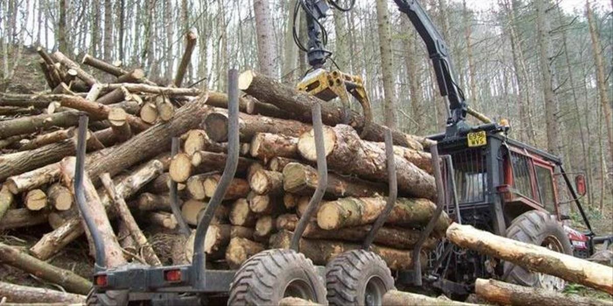 Spracovatelia dreva žiadajú Lesy SR o urýchlené stretnutie v novom roku