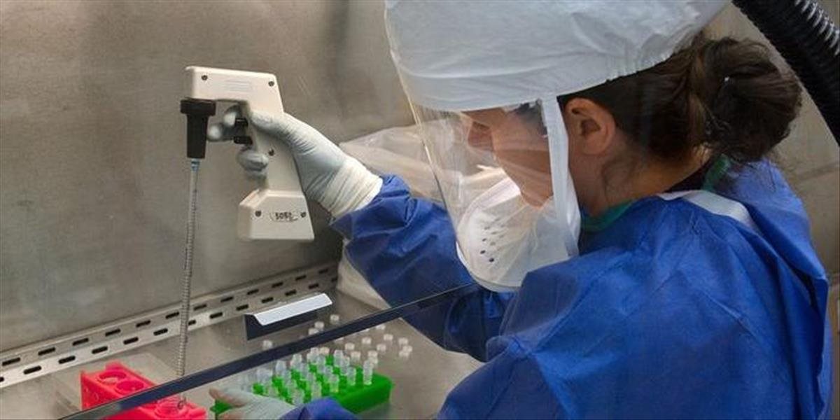 Prúser: Holandská nemocnica pri umelom oplodnení zrejme zamenila spermie, mnoho žien už porodilo