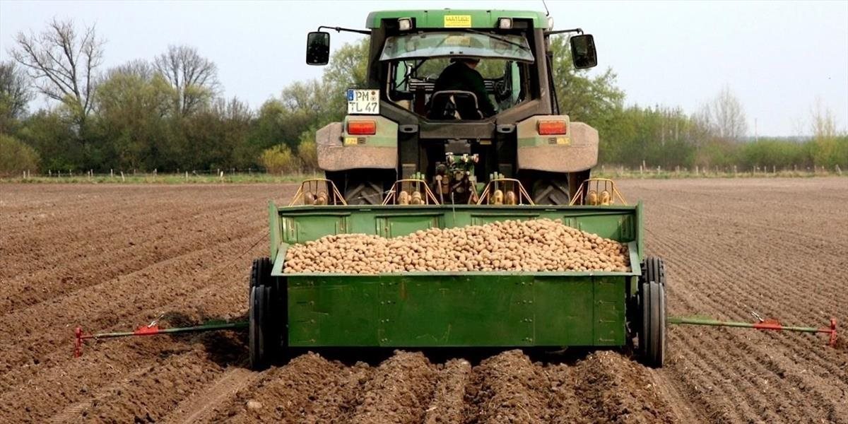 Výmera aj produkcia zemiakov sa na Slovensku znížili