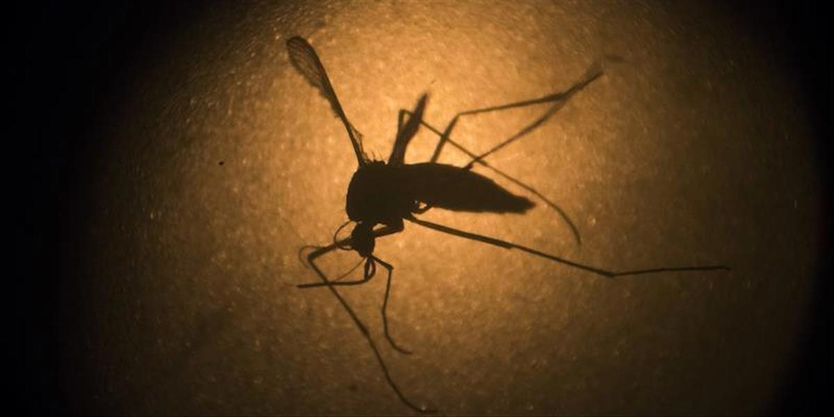 Portoriko dostalo dva milióny dolárov na boj proti epidémii ziky v horách