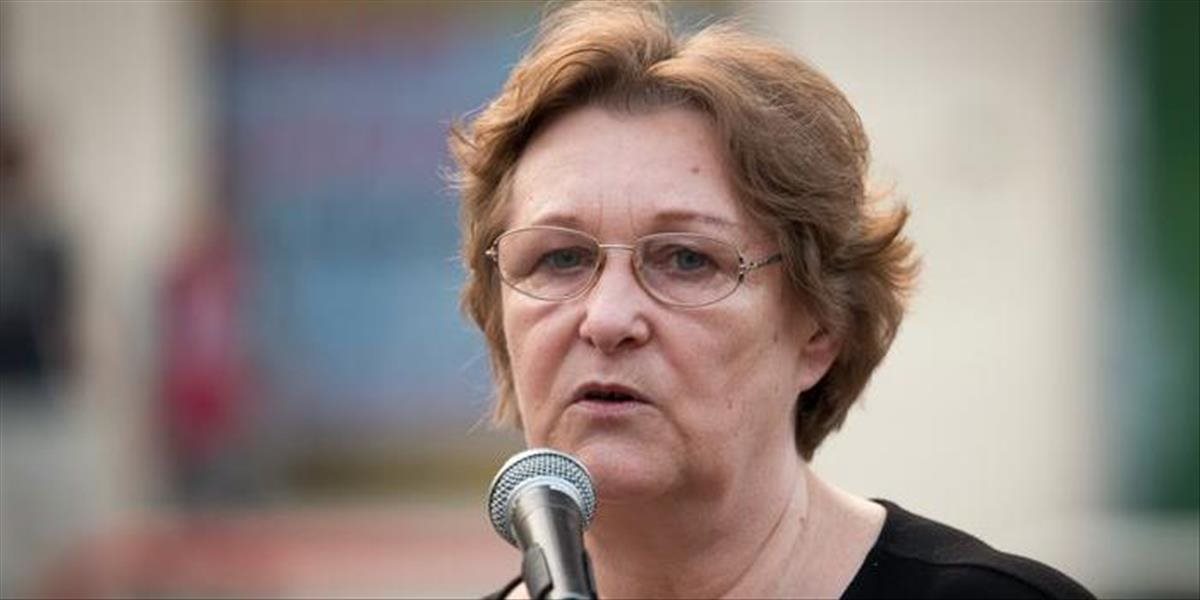 Dubovcová: Súdy svoju činnosť zlepšili, školy bezbariérovosť nie