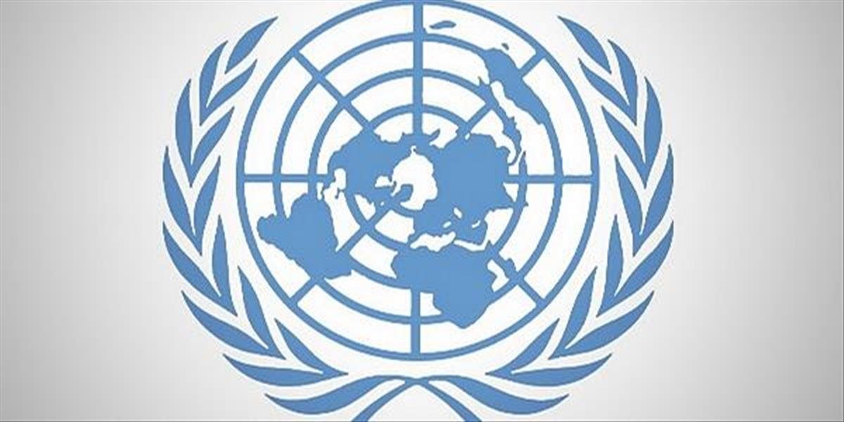 Najvýraznejšie úspechy OSN
