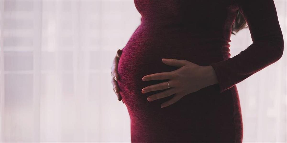 Pri umelom oplodnení v Česku pravdepodobne zamenili embryá dvoch žien