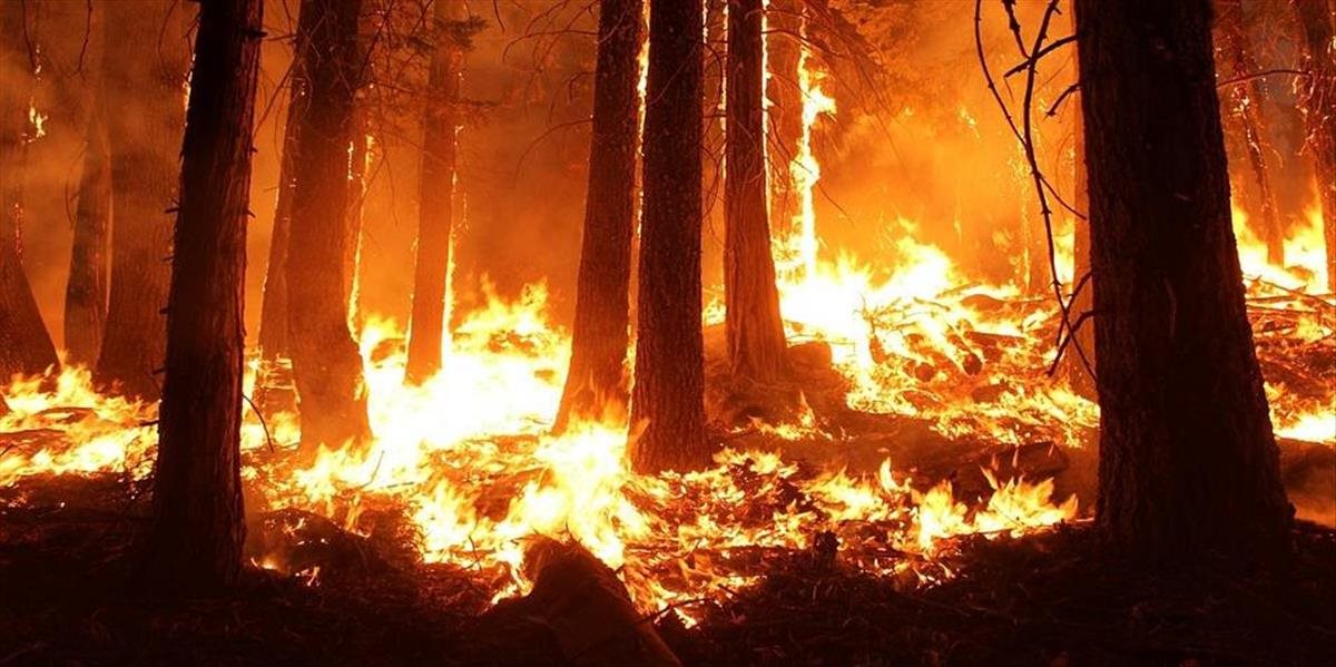 Hasičom sa podarilo zlikvidovať lesný požiar v Bavorsku