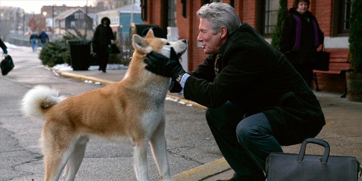 Film o Hačikovi spustil na Slovensku psie šialenstvo: Treba si to dobre premyslieť!