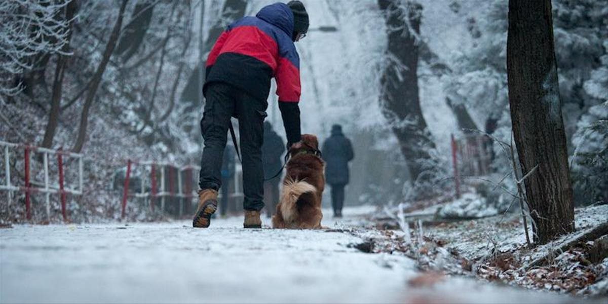 Zima nekončí: Slovensko aj dnes potrápia nízke teploty