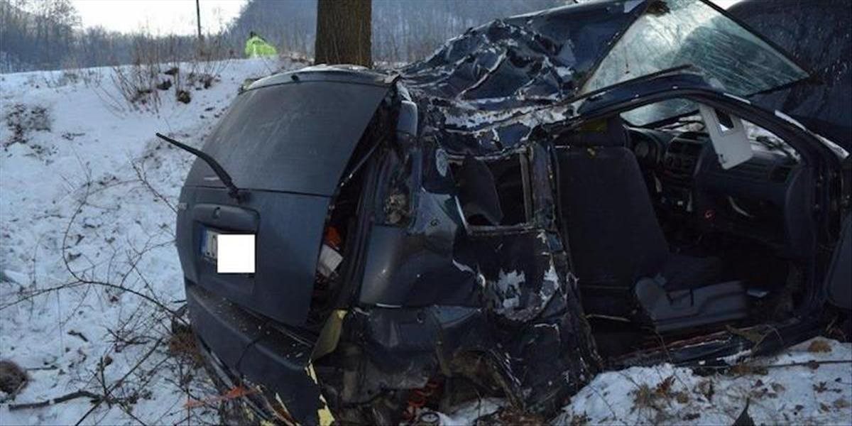 FOTO Opitý vodič narazil do stromu v katastri Považskej Bystrice