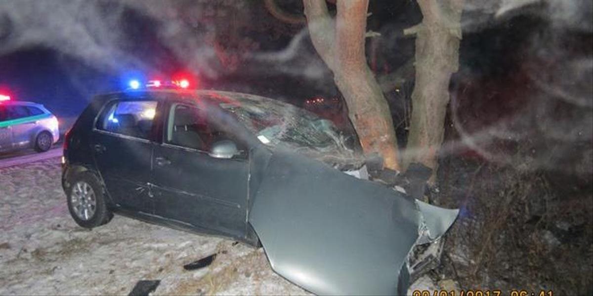Auto narazilo po šmyku do stromu, 27-ročný vodič zomrel na mieste