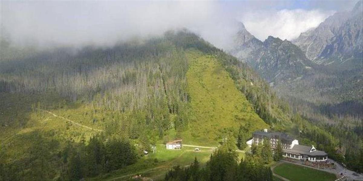 Lesníci odmietajú, že by lesov na Slovensku ubúdalo