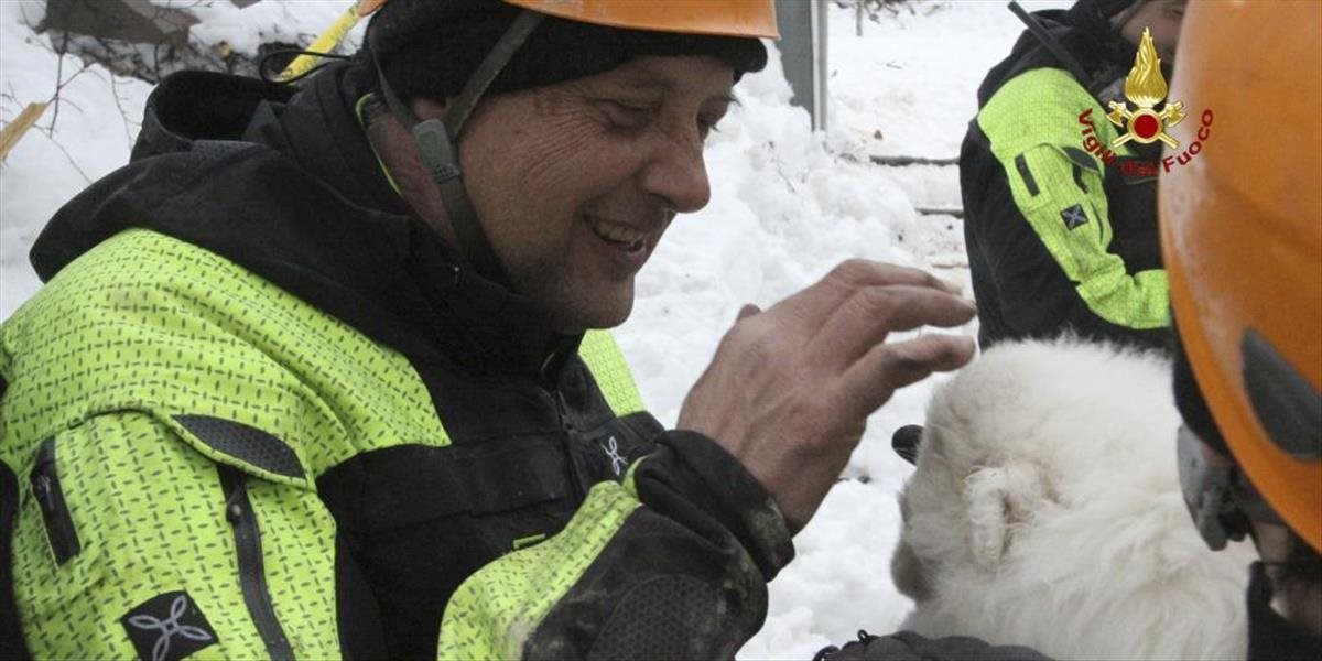 Záchranári našli v troskách hotela zasypaného snehom siedme telo a 3 živé šteniatka