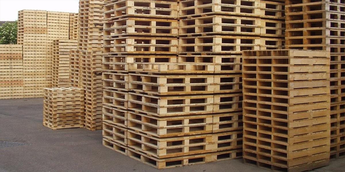 Colníci zaistili takmer 500 pravdepodobne falošných drevených paliet