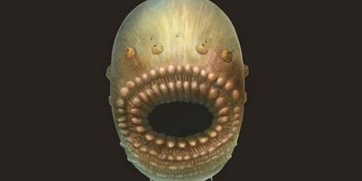 Objavili fosílie najstaršieho známeho druhoústovca