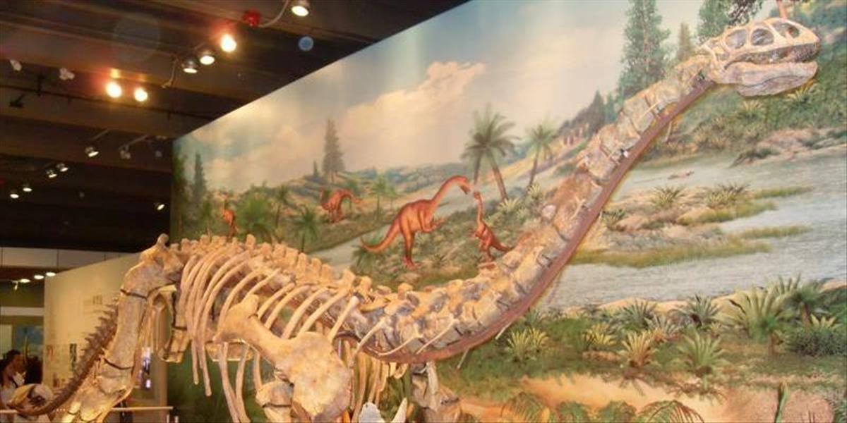 V 195 miliónov rokov starej fosílii našli pozostatky proteínu