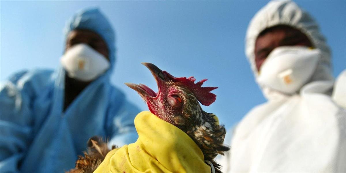 Zoo Bojnice prijíma preventívne opatrenia pred vtáčou chrípkou