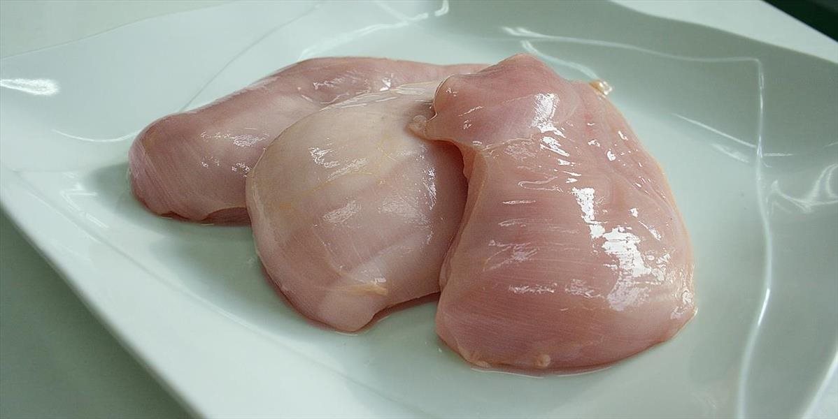 Českí veterinári opäť varovali pred kuracím mäsom z Poľska so salmonelami