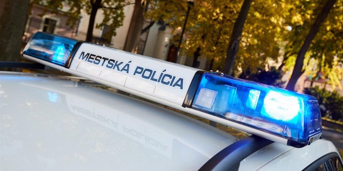 Bratislavčan chcel zomrieť na ceste, zachraňovali ho kynológovia z Mestskej polície