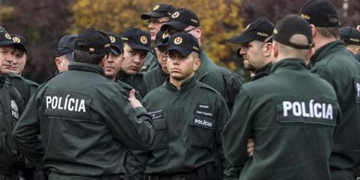 Do Srbska odišlo desať slovenských policajtov na hraničný dozor