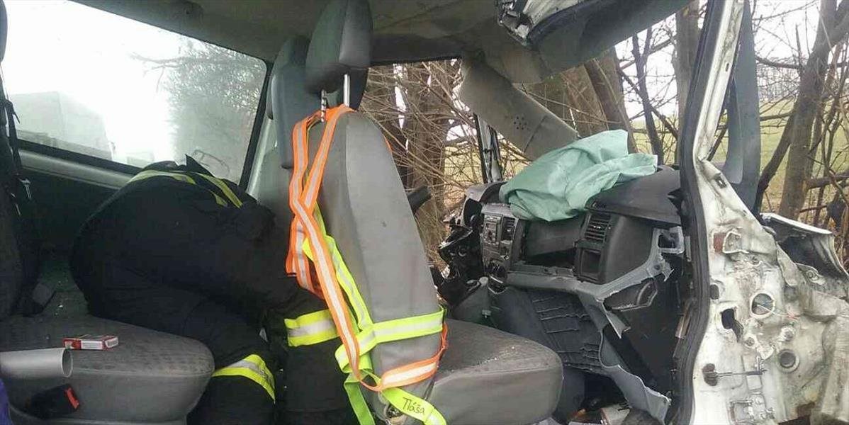 Mladý vodič zahynul po náraze do stromu