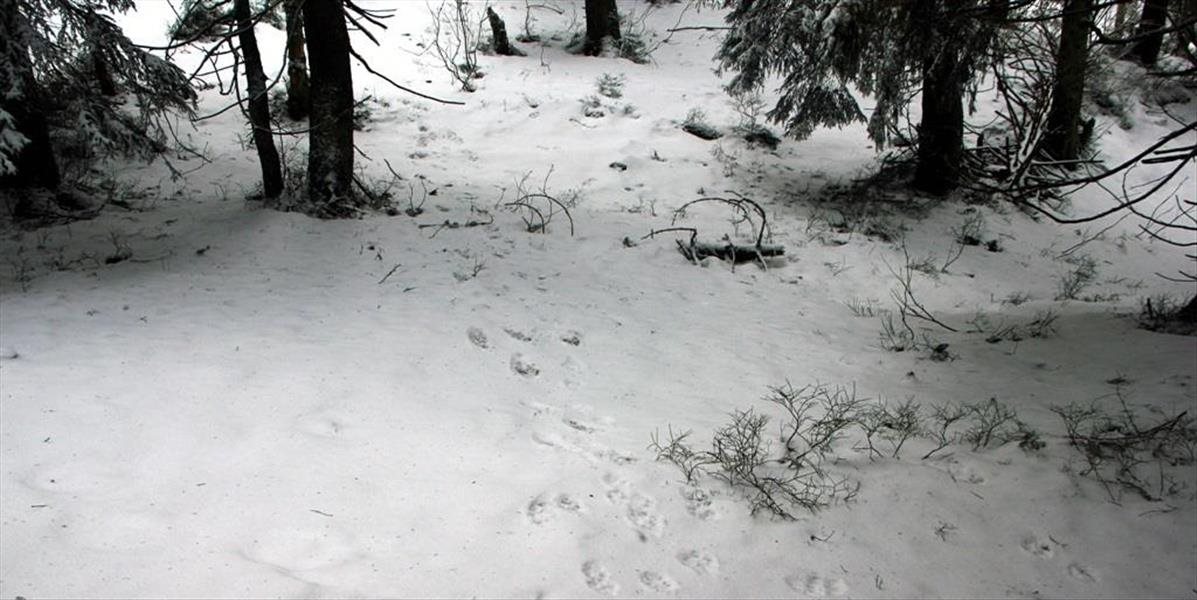 Vo februári klesá výška snehovej pokrývky na Slovensku
