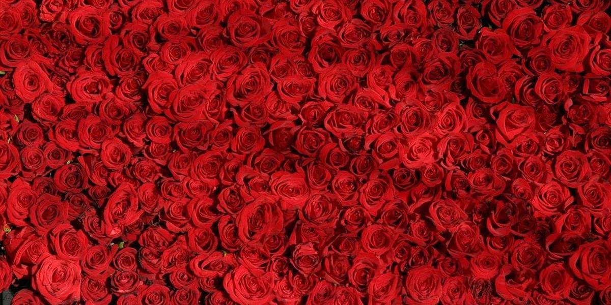 Kolumbia sa snaží zabrániť, aby kokaín ukrytý medzi ružami nepokazil Valentína