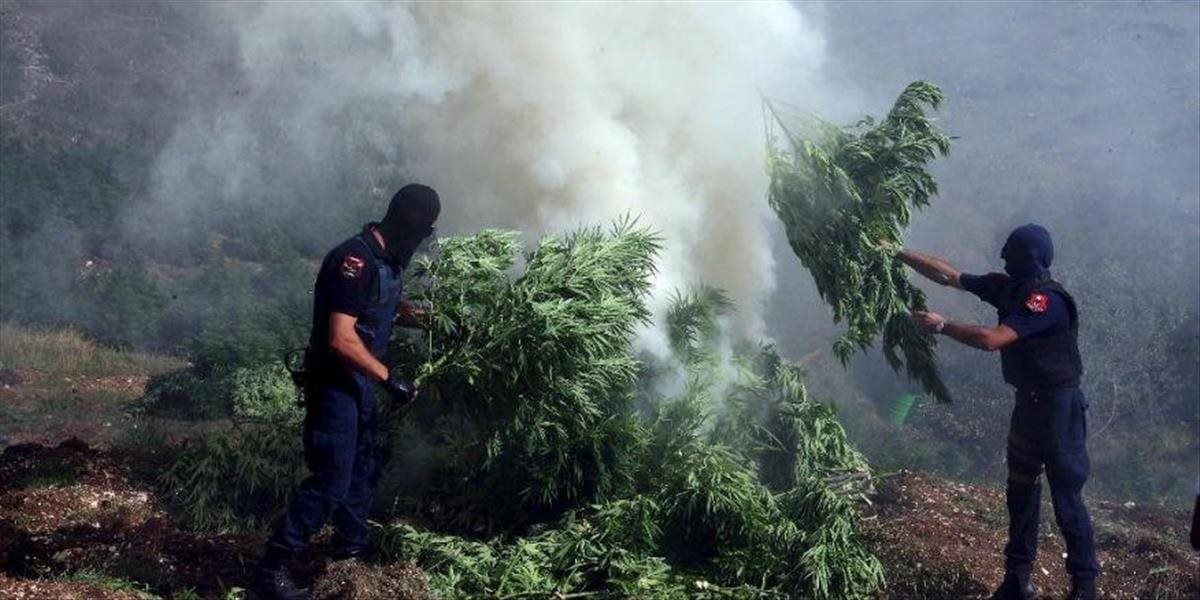 Albánska polícia našla tonu marihuany ukrytú pod domom