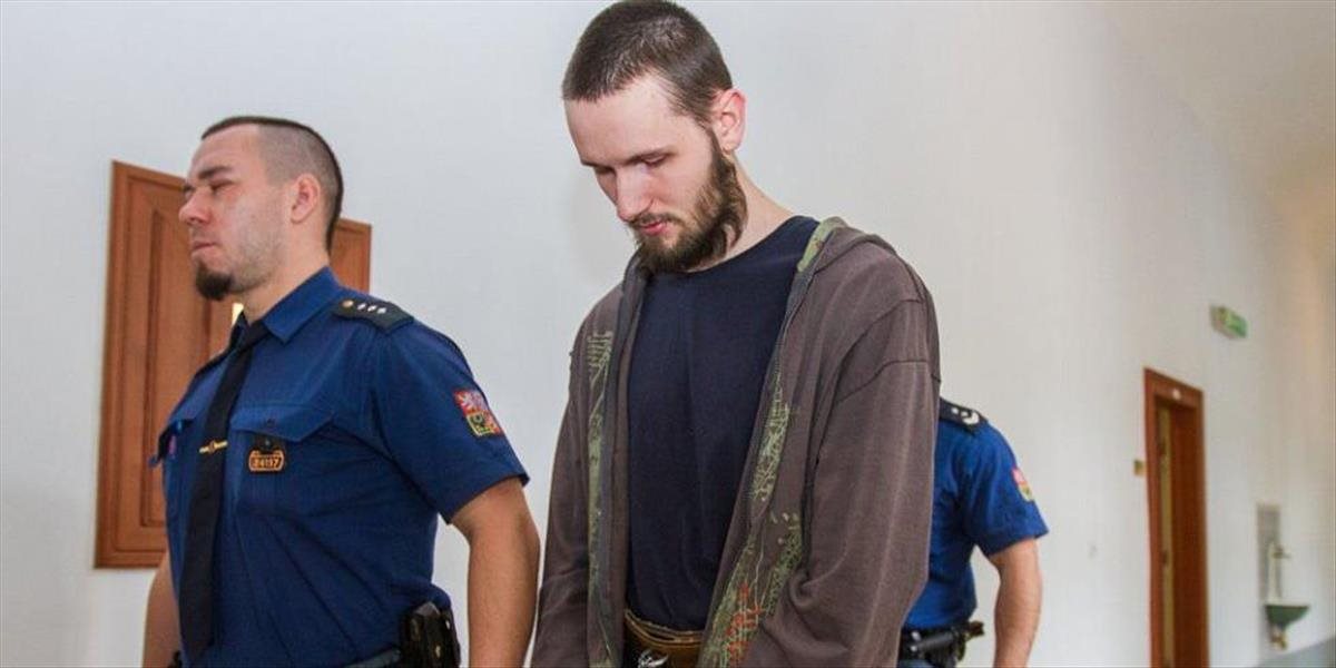 Čecha, ktorý sa chcel pridať k Islamskému štátu, odsúdili na 39 mesiacov