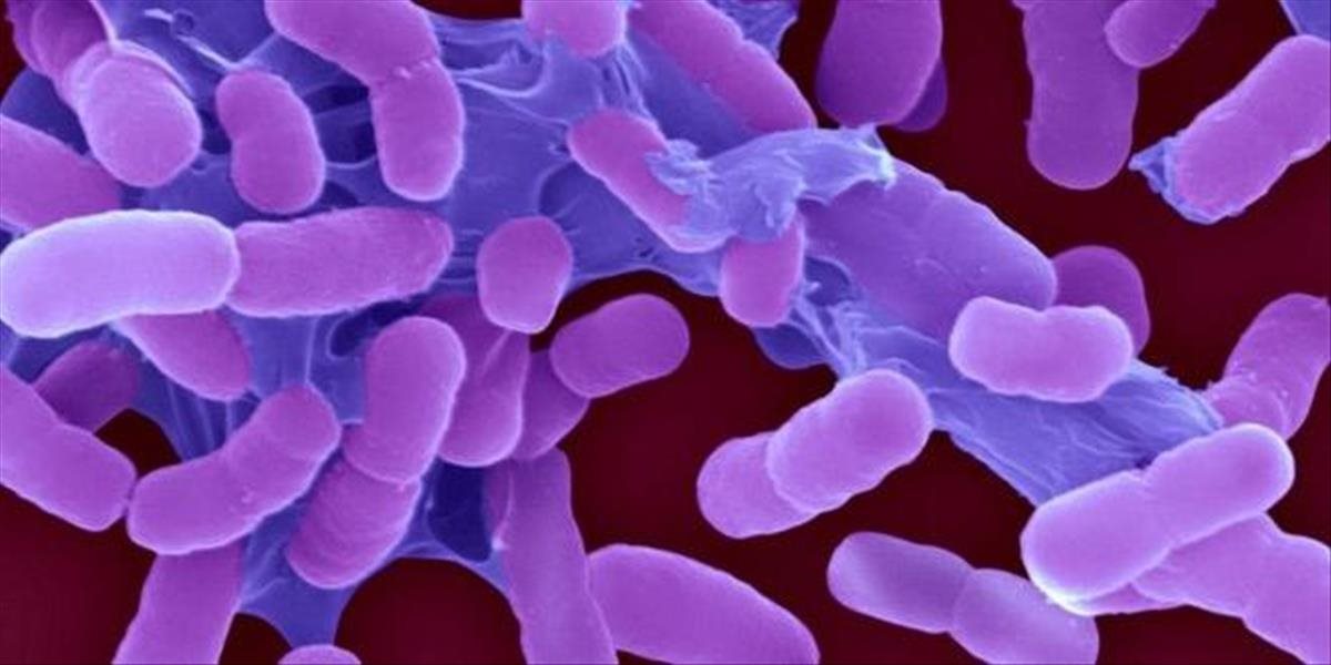 Vedci vytvorili zoznam najnebezpečnejších baktérií odolných voči antibiotikám