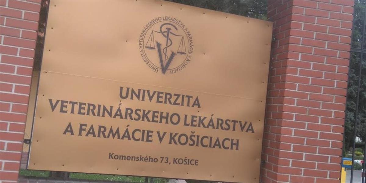 Minister školstva potvrdil plnú akreditáciu pre veterinárnu univerzitu UVLF